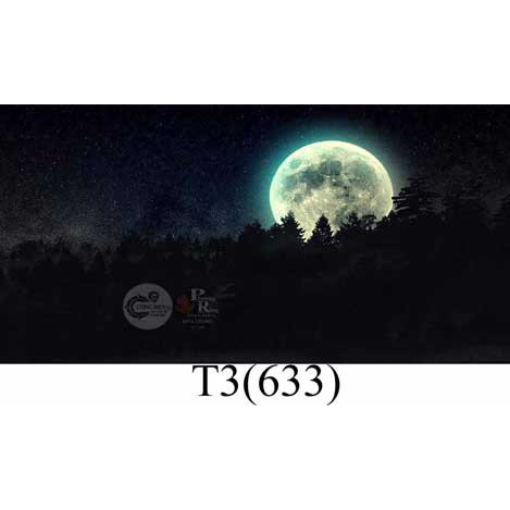 Tranh dán bể cá 3d nhiều kích thướt ( 60x40, 80x40, 80x50 , 90x50, 100x50...)