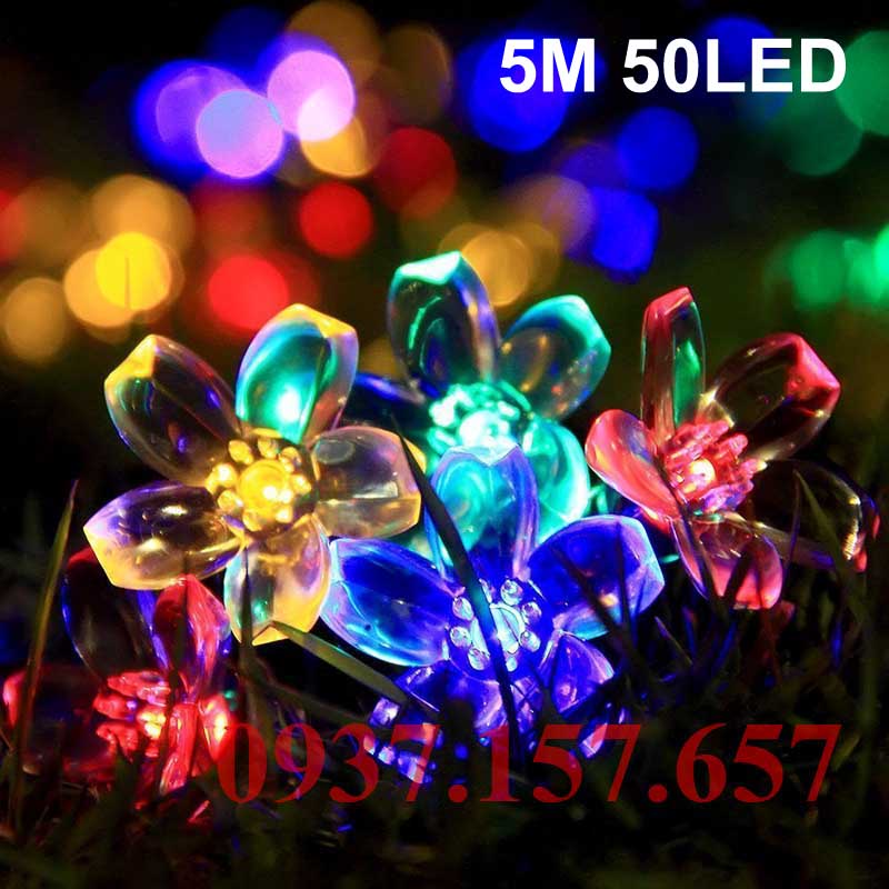 Đèn LED dây năng lượng mặt trời hình hoa mai 5M 50LED