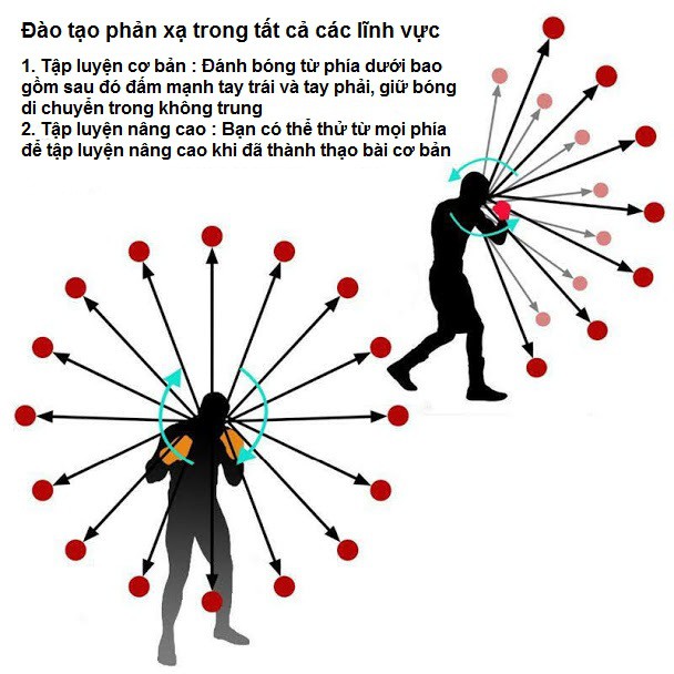 Bóng luyện tập phản xạ boxing cao cấp