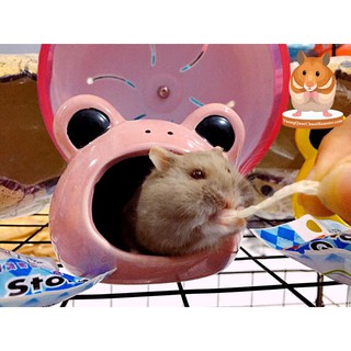 Cá sợi cho Hamster
