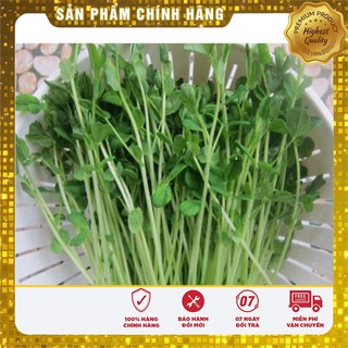Hạt Giống Rau Mầm Đậu Hà Lan Hạt giống rau mầm