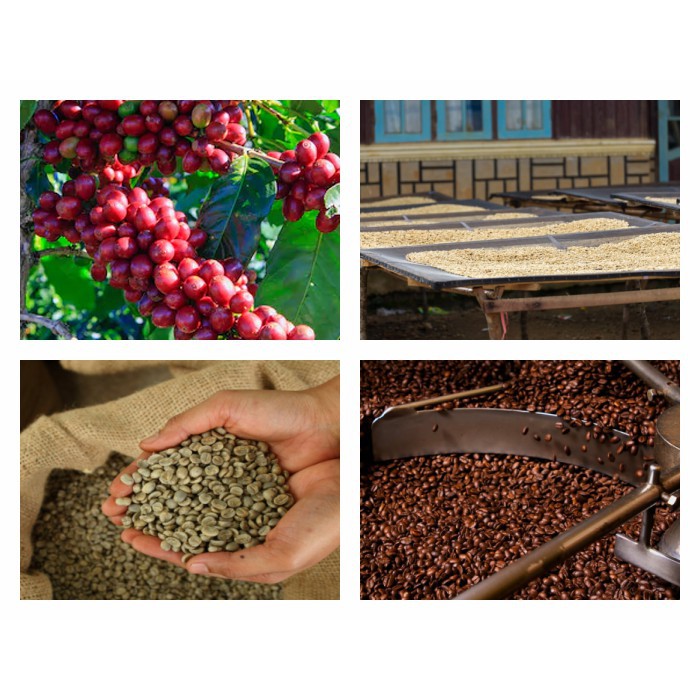 cà phê nguyên chất combo 4 gói 250g = 1kg  - Thucoffee | BigBuy360 - bigbuy360.vn