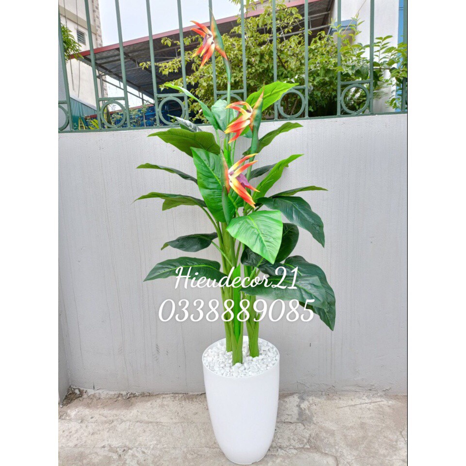 Cây giả- Cây Thiên Điểu 1,5m siêu xinh - hàng có sẵn