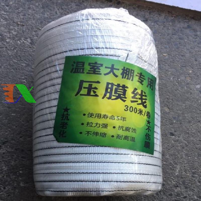 Dây PE căng màng nhà kính DAT-15x300, Dây có định film PE nhà màng