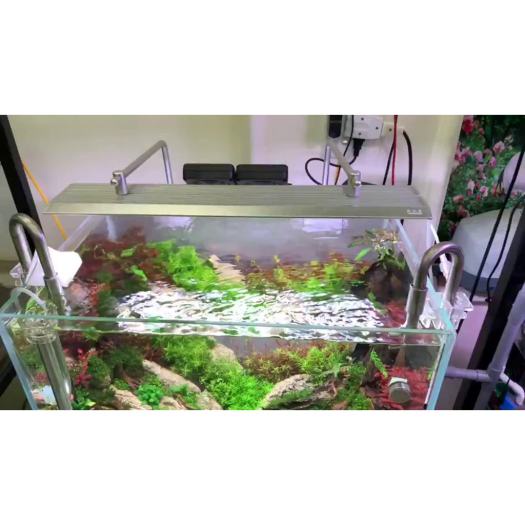 Đèn Week Raptor Pro  LED RGB-UV chỉnh APP- Hạn chế rêu hại, đánh màu cây và cá cực đẹp cho hồ thuỳ sinh