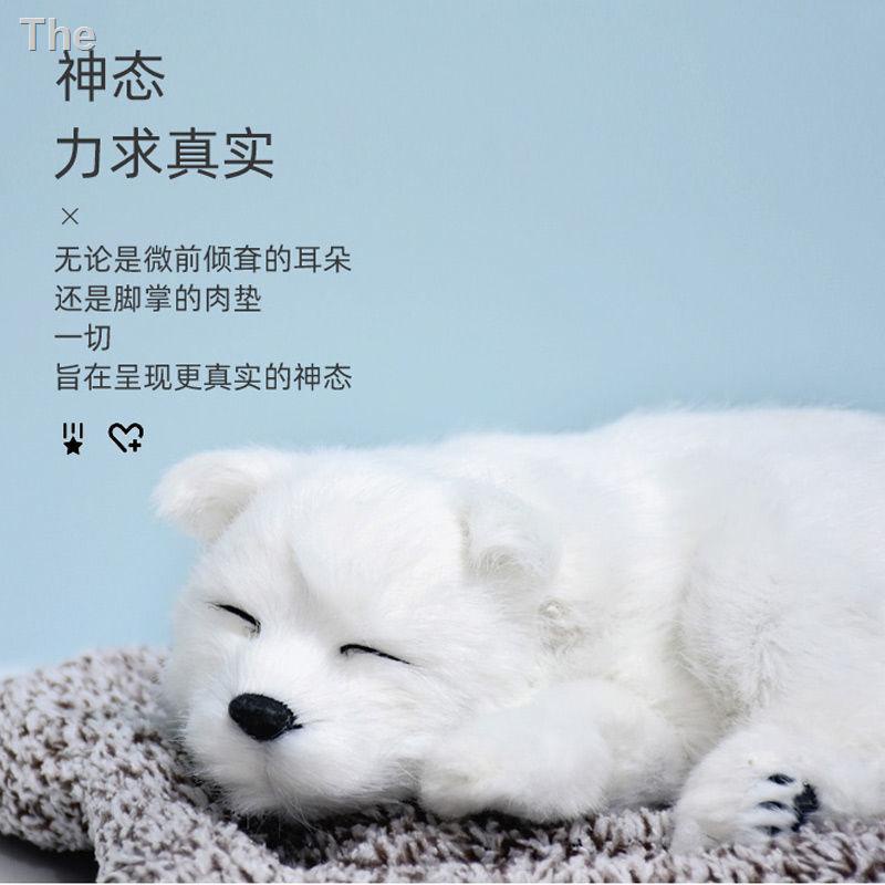 ✎ Quà tặng sinh nhật cho bạn gái, chị em gái và bạn cùng lớp nhân ngày lễ tình nhân