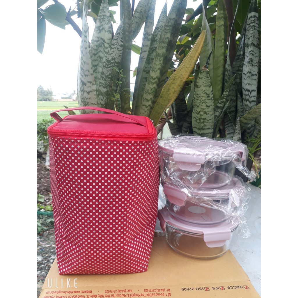 GIÁ SỐC COMBO 3 THỐ THỦY TINH TRÒN 400ML TẶNG KÈM TÚI GIỮ NHIỆT