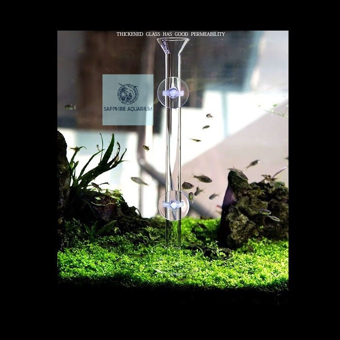 Ống Thủy Tinh Cho Cá Tép Ăn