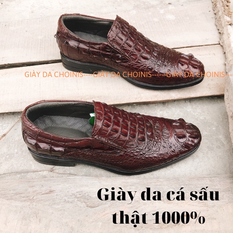 Giày tây da cá sấu xịn 100% tại CHOINIS