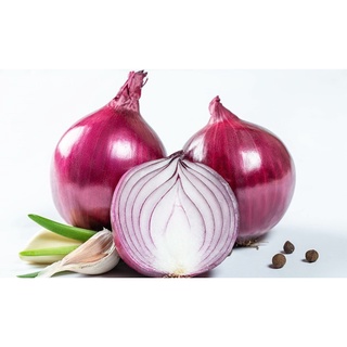 Hạt Giống Củ Hành Tây (Hạt Giống Tôt)