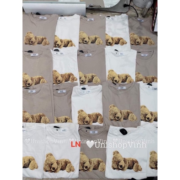 Áo phông gấu vàng nằm DA6