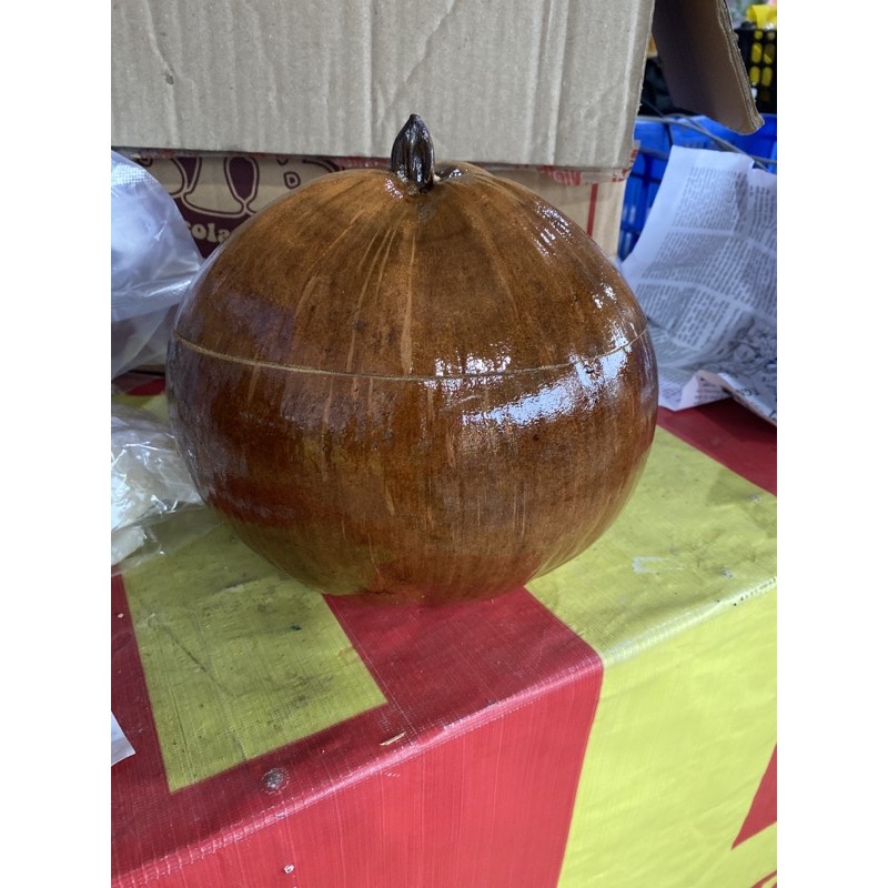 Vỏ giữ ấm bình trà trái dừa +Tặng ấm tích trà nhiều Size | BigBuy360 - bigbuy360.vn