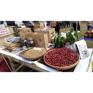 500g cà phê hạt rang mộc Xuân Dương