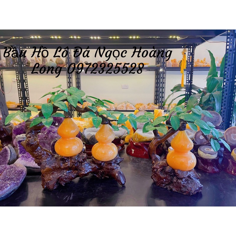 Cây Bầu Hồ Lô Đá Ngọc Hoàng Long Phong Thuỷ