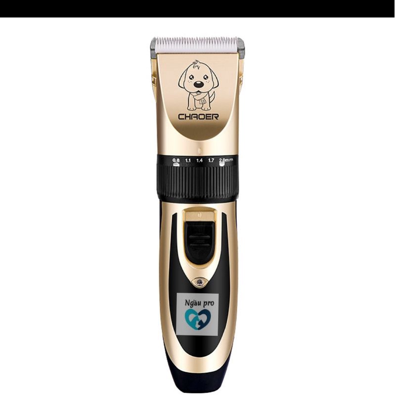 Tông Đơ Cắt Tỉa Lông chó CHAOER pro - SPA chó mèo thú cưng