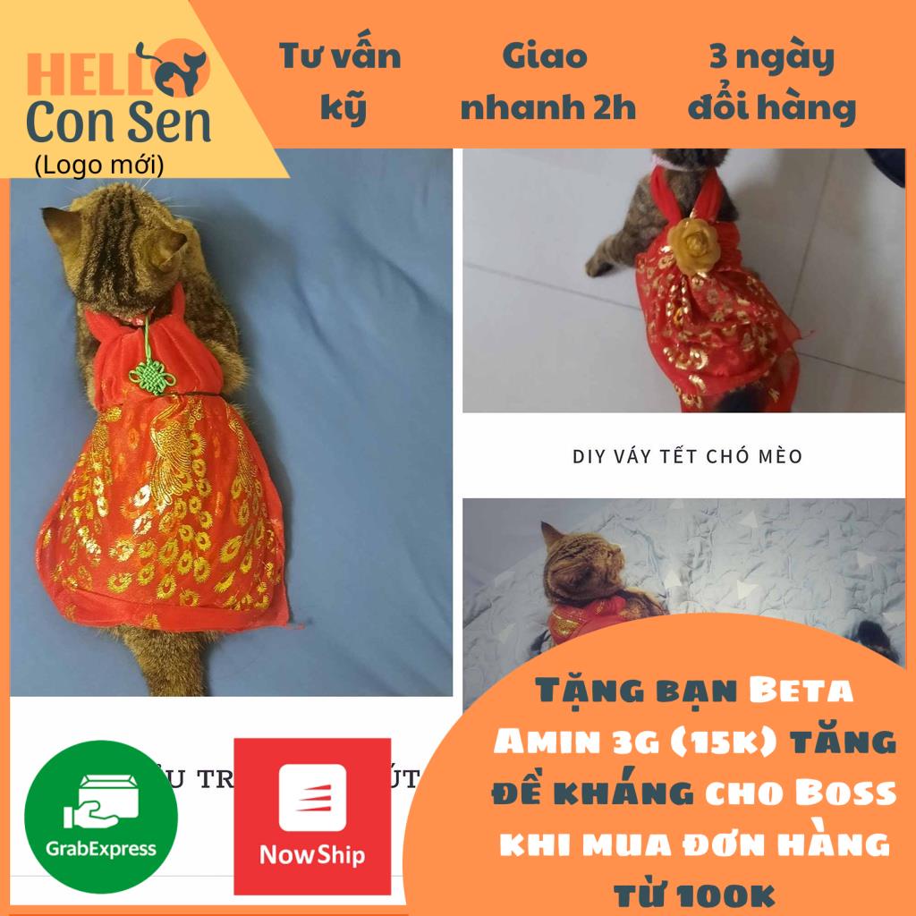 Váy Tết cho chó áo dài tết cho mèo DIY áo tết chó mèo váy mèo xinh