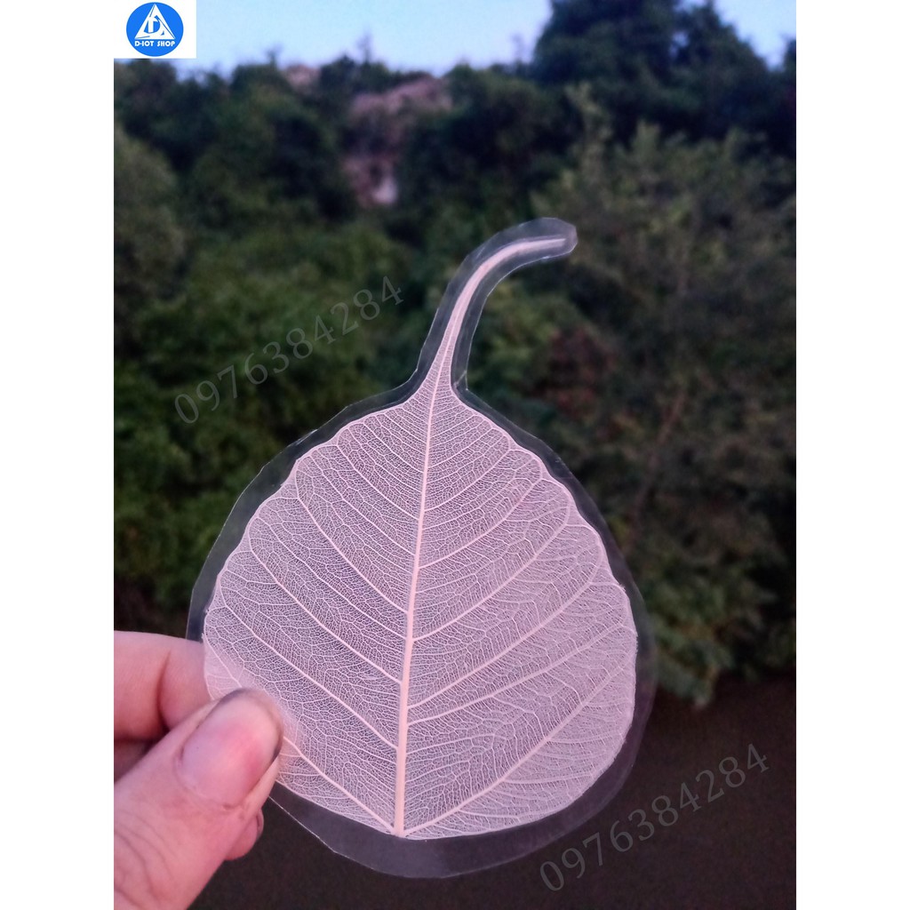 Lá bồ đề ép - ốp điện thoại | BigBuy360 - bigbuy360.vn