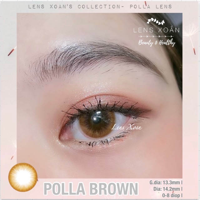 KÍNH ÁP TRÒNG POLLA BROWN CỦA OLENS ( 6 THÁNG): Lens nâu vàng mật ong sáng tây | Lens Xoắn( GIÁ 1 CHIẾC)