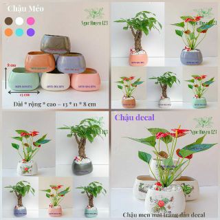 Chậu Sứ Méo Cao S1 kt 13x11x8 - Trồng Cây Để Bàn
