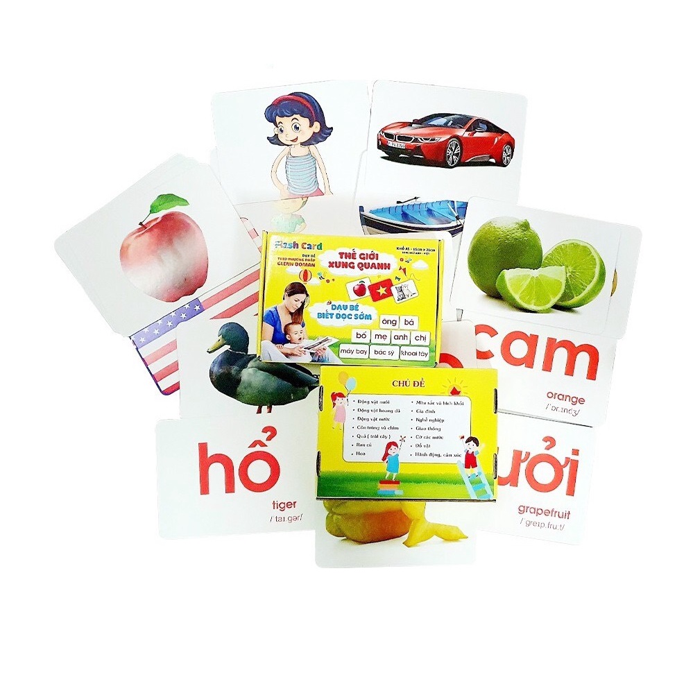 Thẻ Flashcard A5 Bộ thẻ học thông minh 14 chủ để song ngữ dày đẹp dạy bé theo phương pháp Glenn Doman