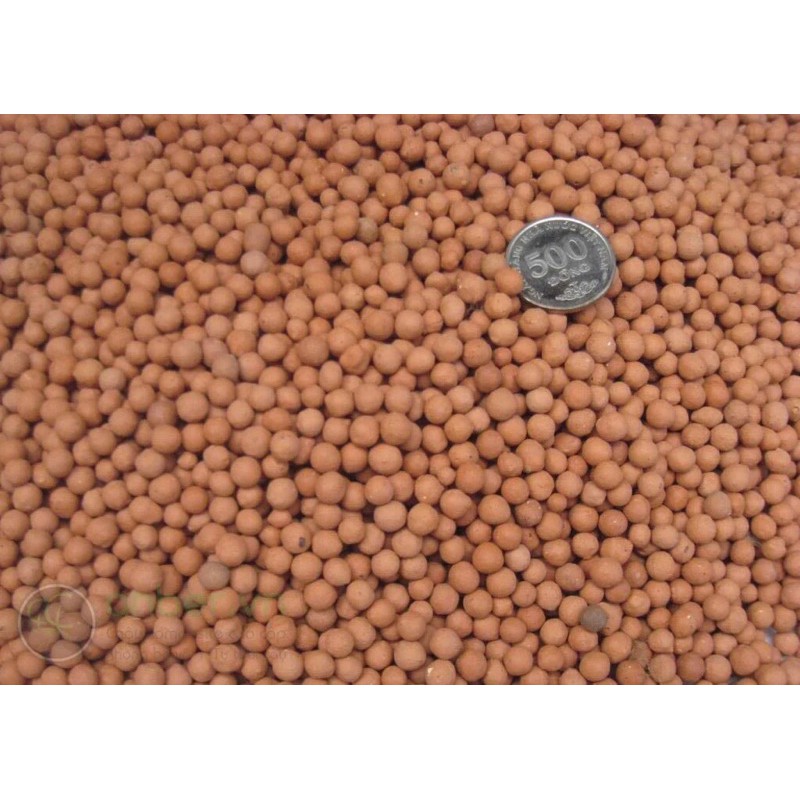 100G HẠT ĐẤT NUNG / VIÊN SỎI NHẸ POPPER - GIÁ THỂ TRỒNG LAN, SEN ĐÁ VÀ XƯƠNG RỒNG