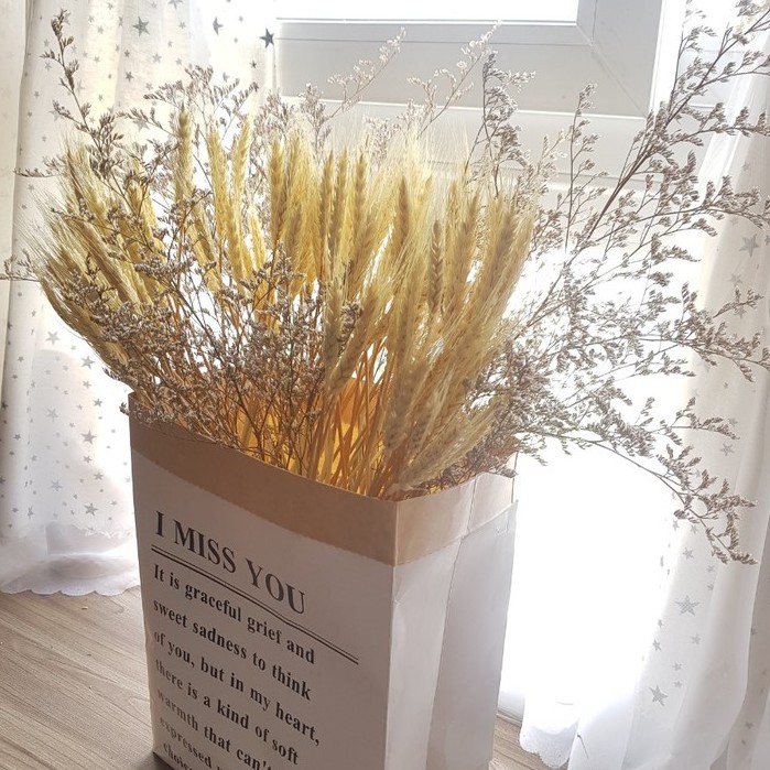 LÚA MẠCH KHÔ phụ kiện trang trí chụp ảnh. Bông lúa decor cắm lọ, bình để bàn. hoa khô mix trang trí