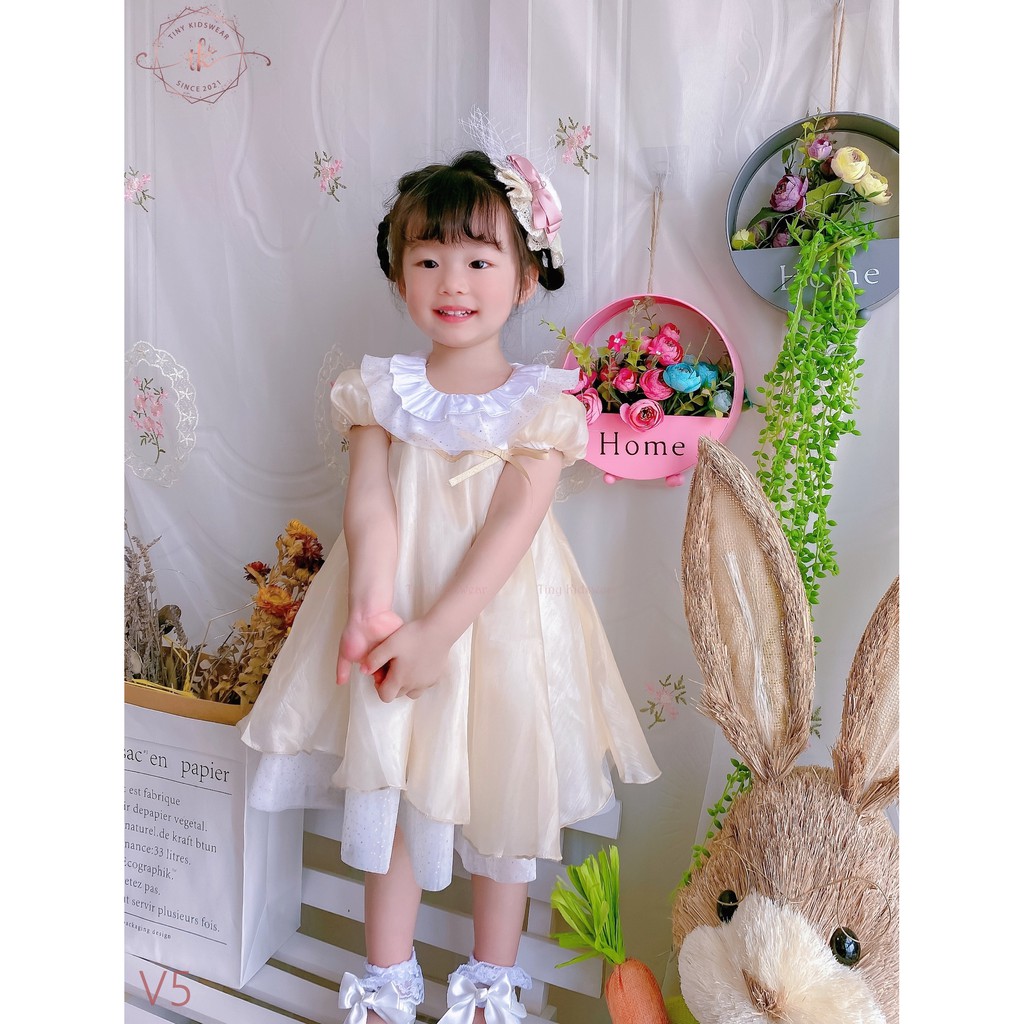 Váy Đầm Voan Công Chúa, Váy Sinh Nhật, Chụp Hình Cho Bé Gái Từ 10-18kg [V5]