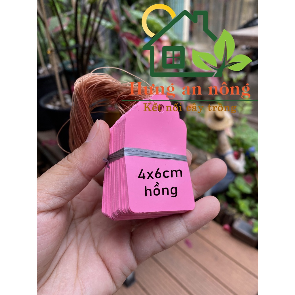 Set 100 thẻ treo kèm sẵn dây dùng ghi nhớ tên giống cây trồng - size 2.5x3.5cm, 3x4.5cm, 4x6cm, 5x7cm