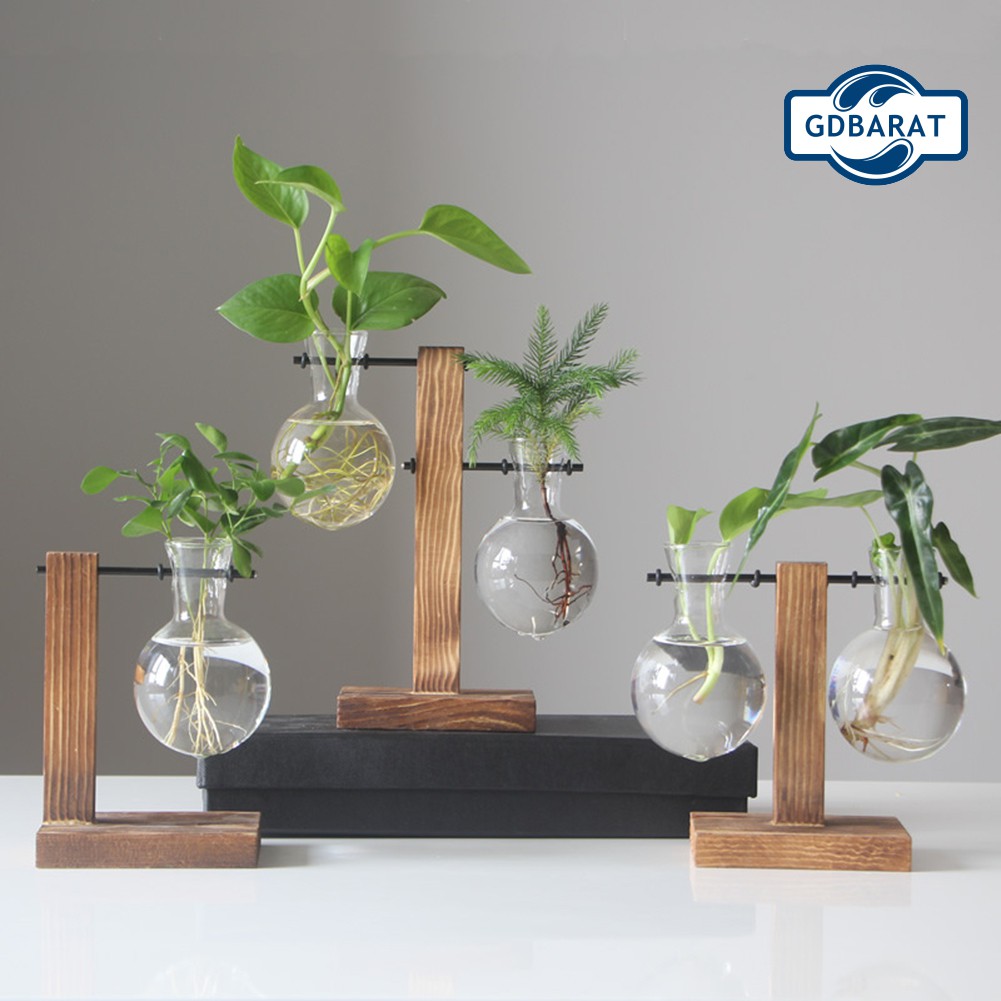 Chậu Hoa Bằng Thủy Tinh Trong Suốt Kèm Khung Gỗ Độc Đáo Tiện Dụng