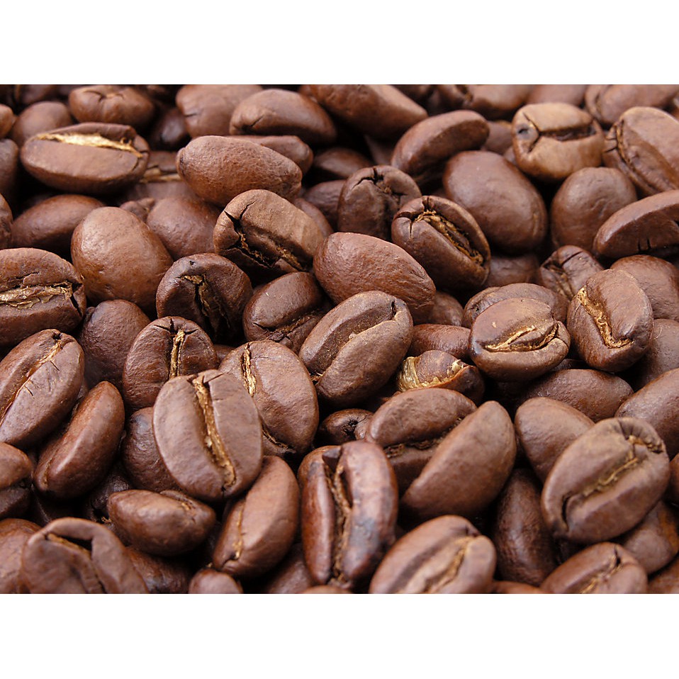 Cà phê nguyên chất 100% Coffee Tree đặc biệt 500gr thơm ngon, đậm đà