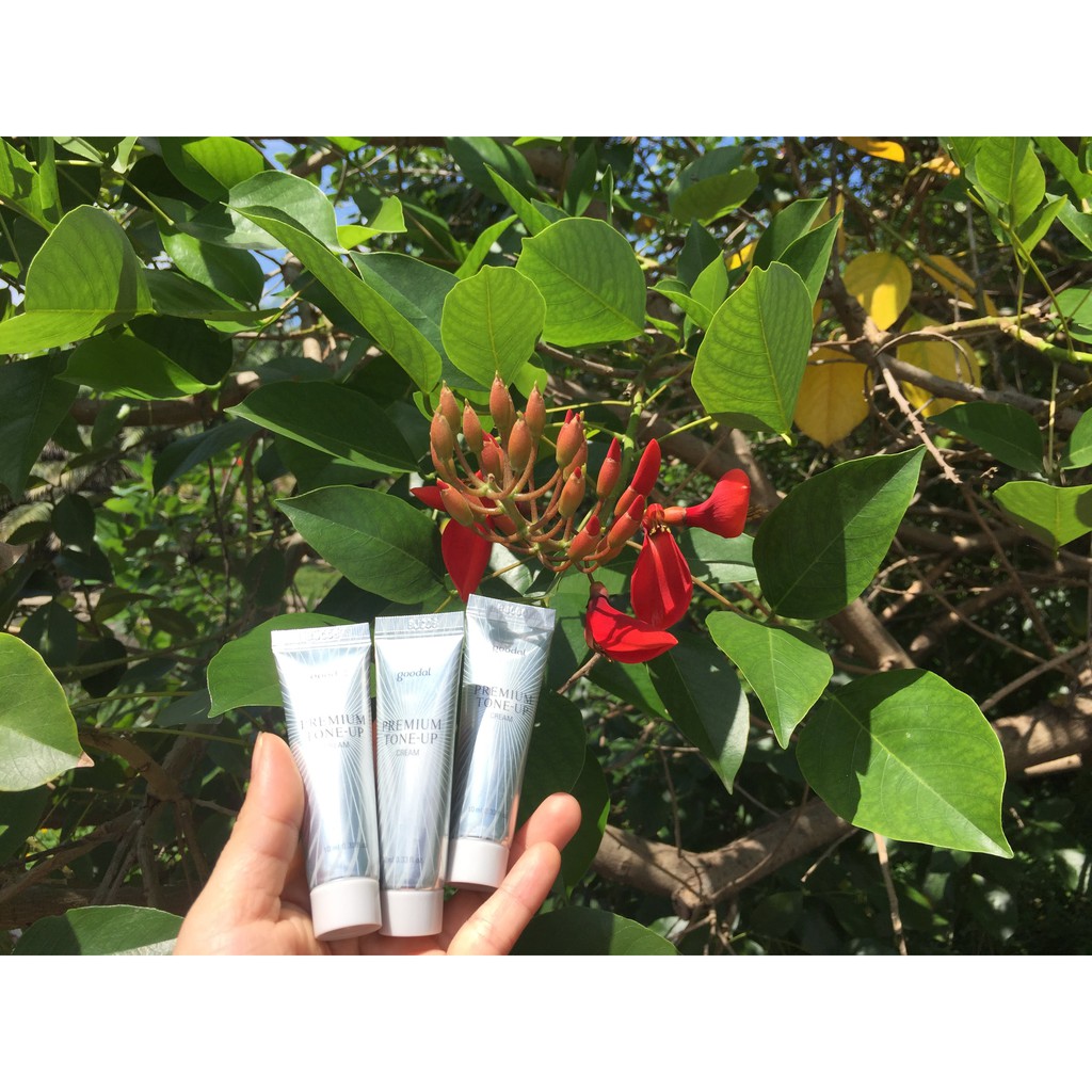 Kem Ốc sên mini Goodal Premium Snail Tone