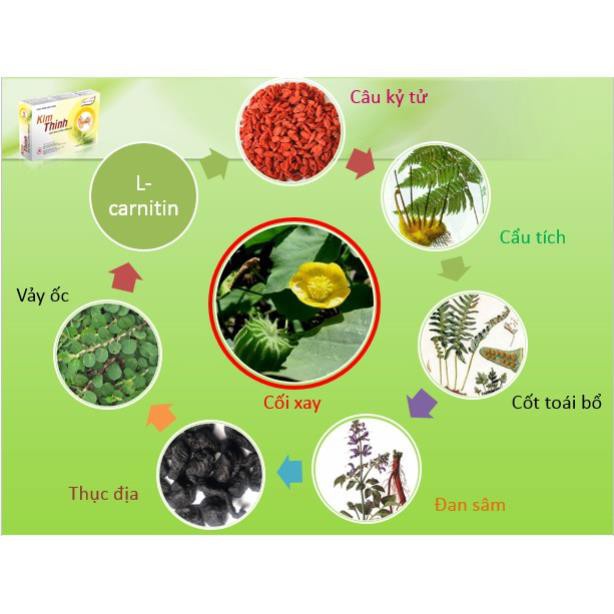 [GIÁ GỐC] Kim Thính giảm ù tai, tăng cường thính lực hộp 180 viên