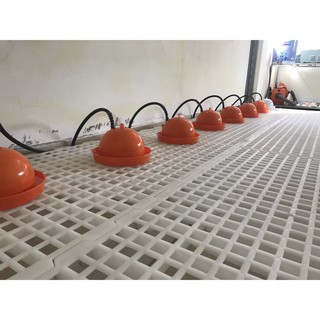 Máng Uống Gà Con - Chim Cút - Vịt - Ngan