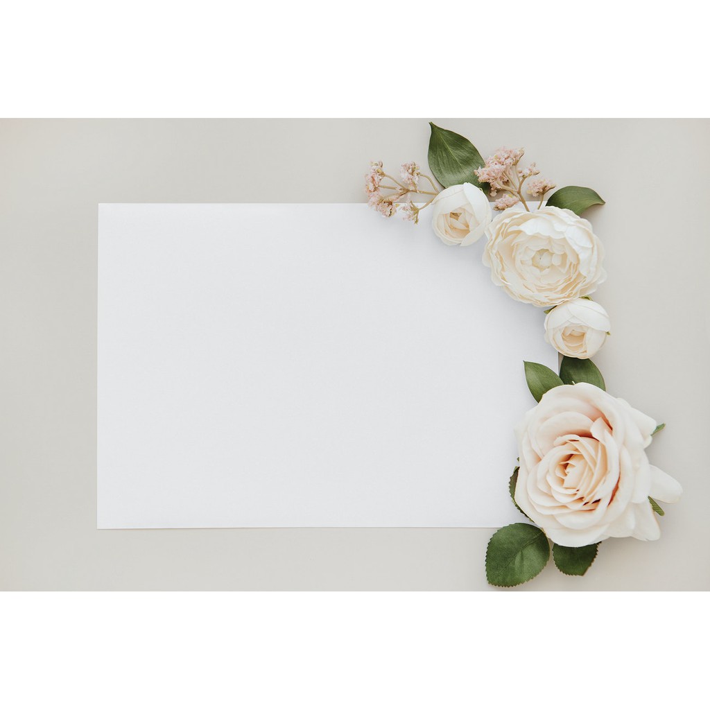 Thiệp trơn 12x16cm giấy mỹ thuật cao cấp