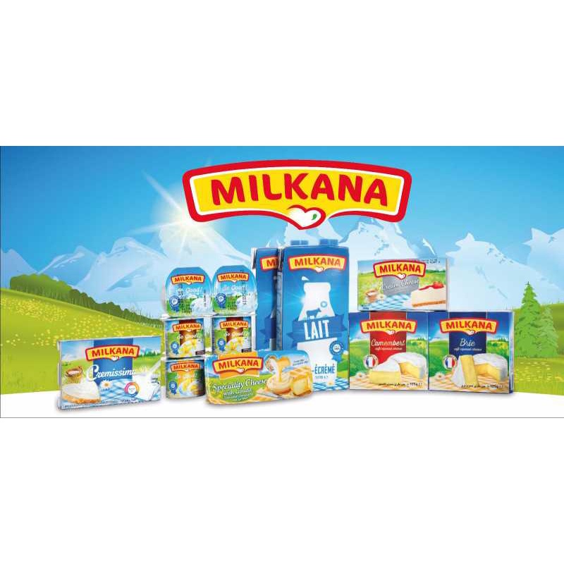 Phô Mai MILKANA Hộp 240Gr - 16 Miếng
