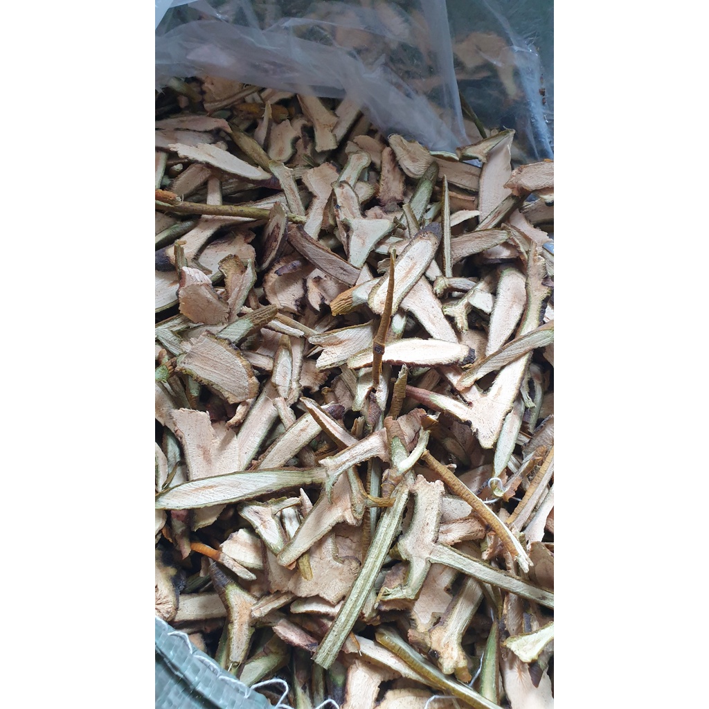 TANG KÝ SINH  - Tuệ Minh