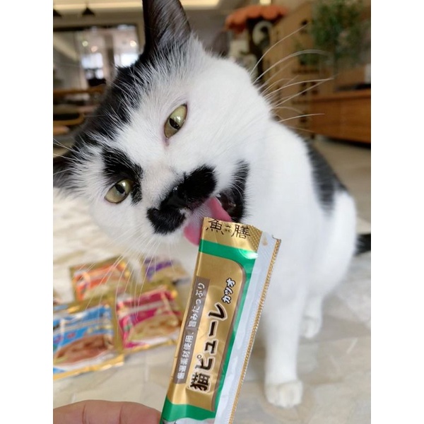 Súp Thưởng Uo Zen Cho Mèo - Gói 5 Thanh