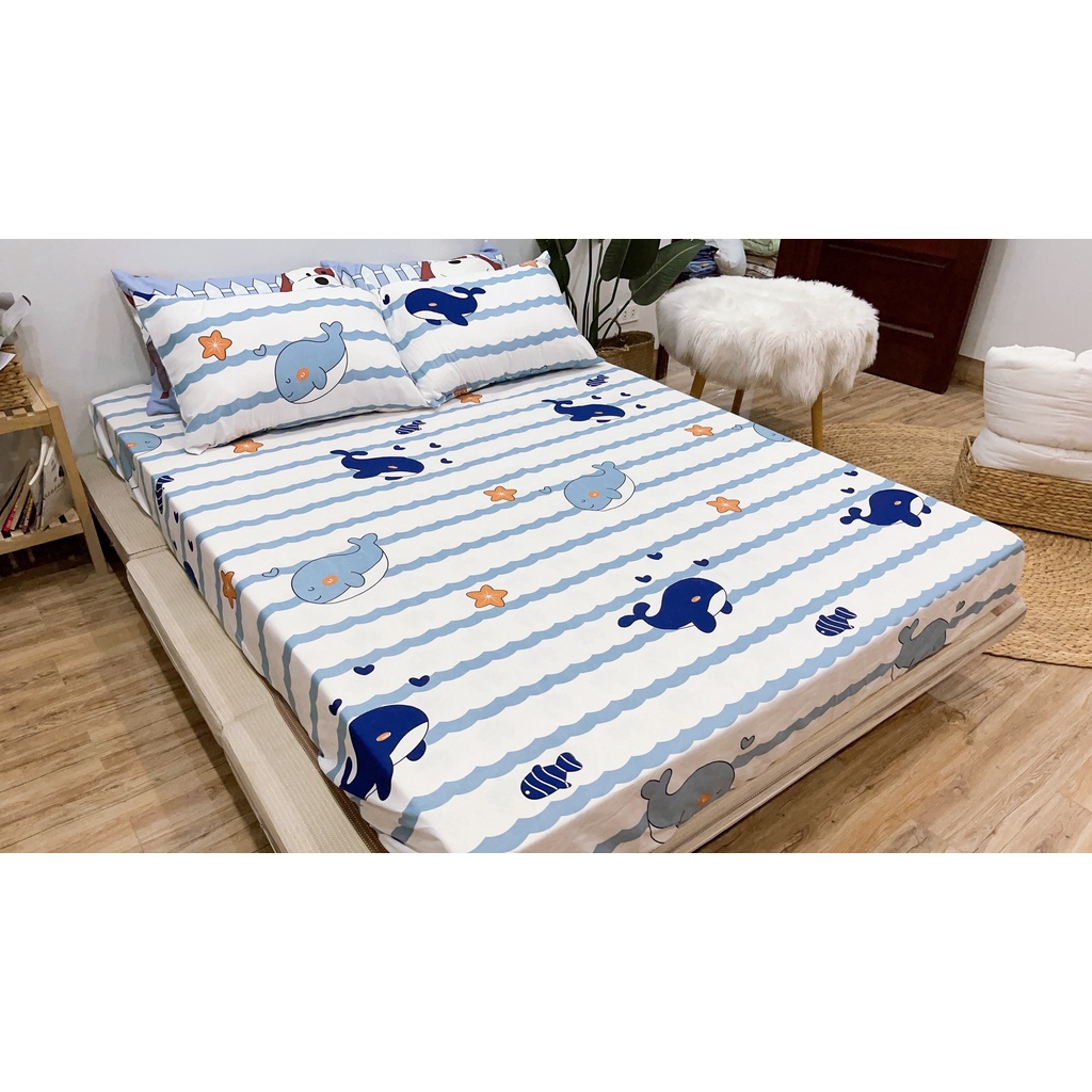 Bộ ga gối cotton poly mẫu cá heo Emmibedding Store
