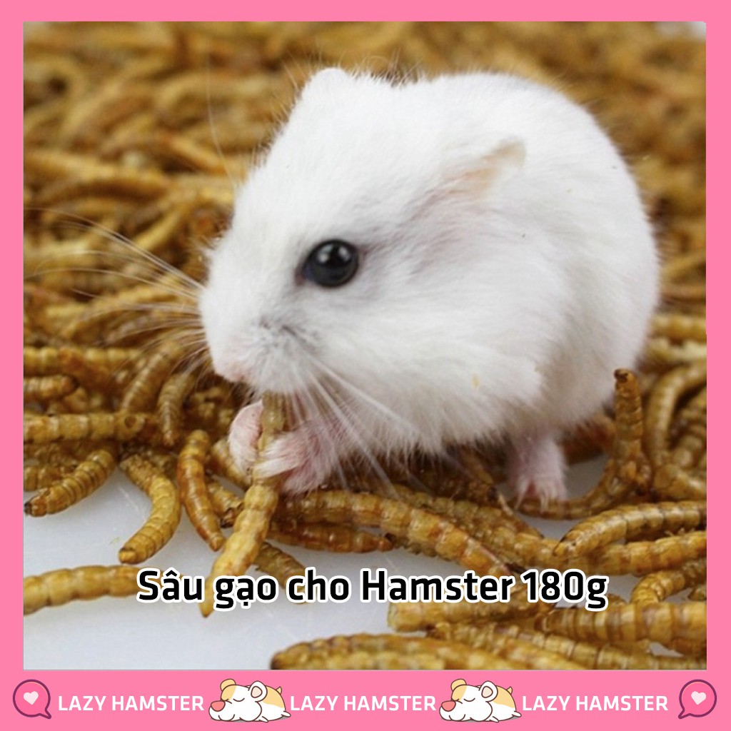 Sâu khô gói to cho hamster, chim , sóc , mồi câu cá (180g) LAZY HAMSTER