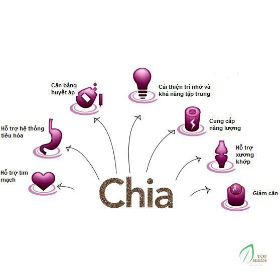 Giá Shock  Hạt Chia ÚC BLACK BAG CHIA 500g.