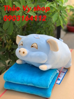 Heo mắt híp kèm mền hàng cao cấp