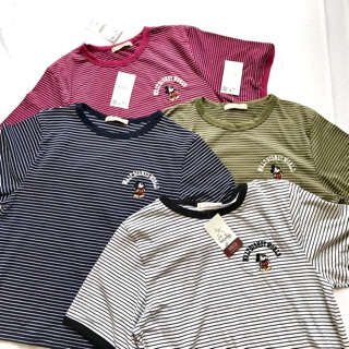 Áo thun Pull & Bear xịn xuất dư