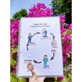 Học liệu bóc dán vòng đời