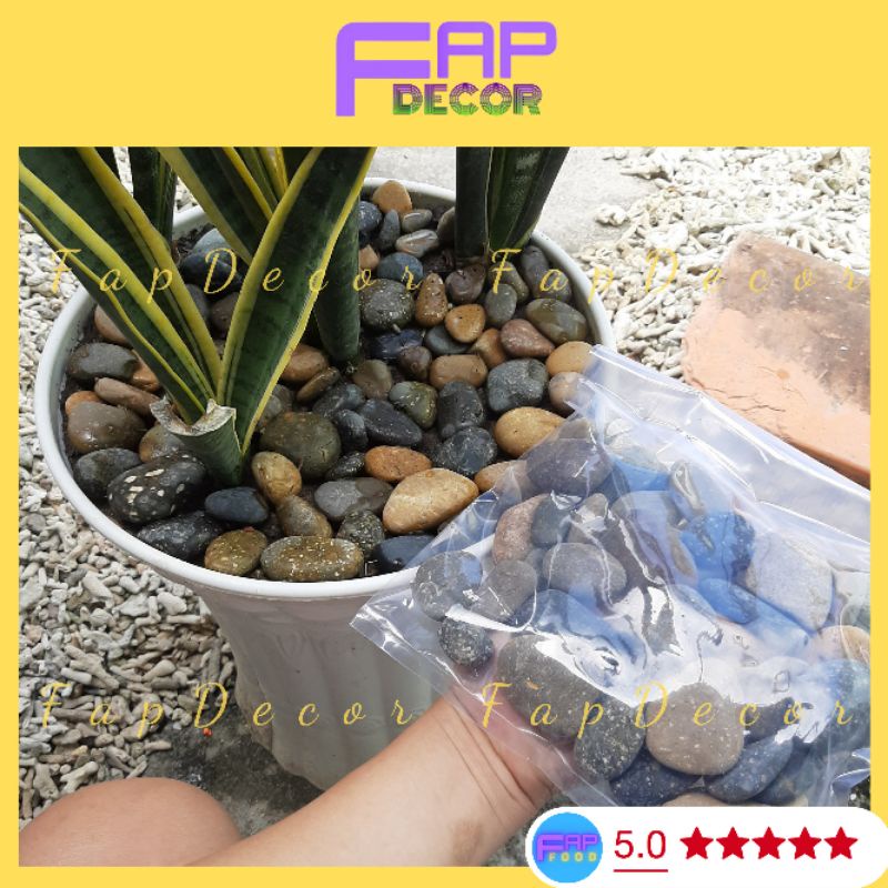 Đá Sỏi 7 Màu Trang Trí Chậu Cây, Làm Vườn, Trang Trí Bể Cá, Thủy Sinh Size 2 3 4cm - FapFood