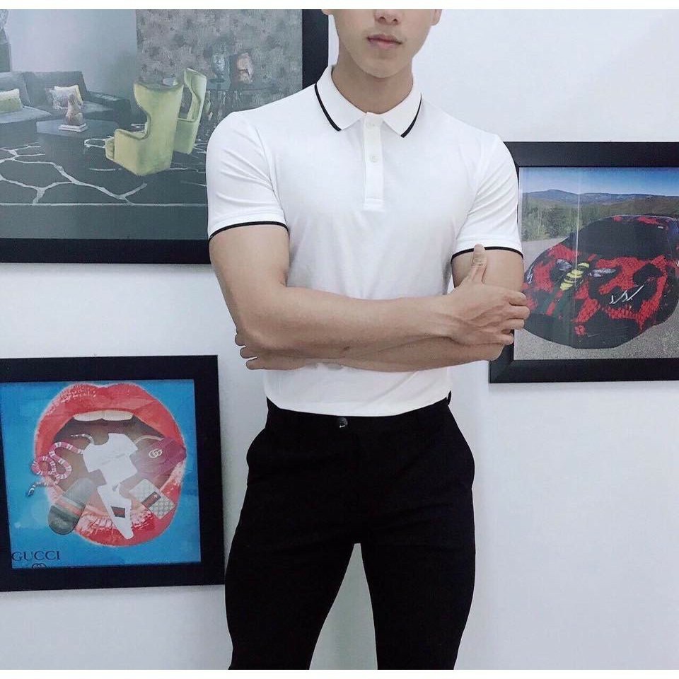ÁO THUN POLO NAM COTTON CHẤT ĐẸP, PHÔNG NAM CỔ VIỀN | BigBuy360 - bigbuy360.vn