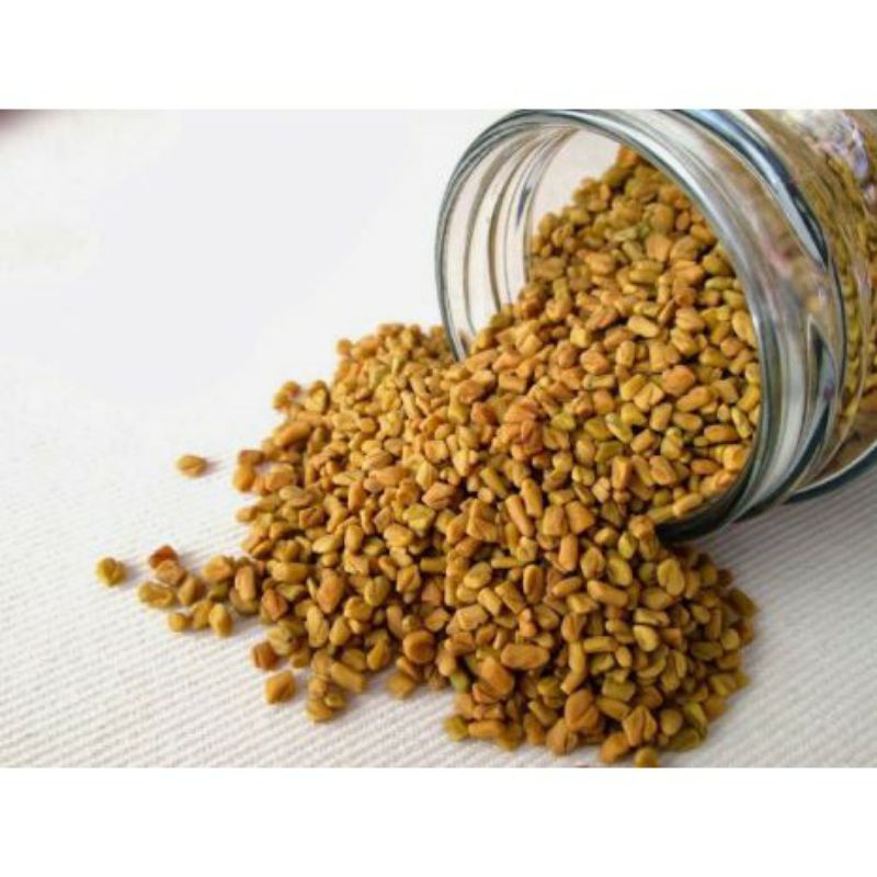 hạt giống rau mầm thảo dược methi - gói 20gr