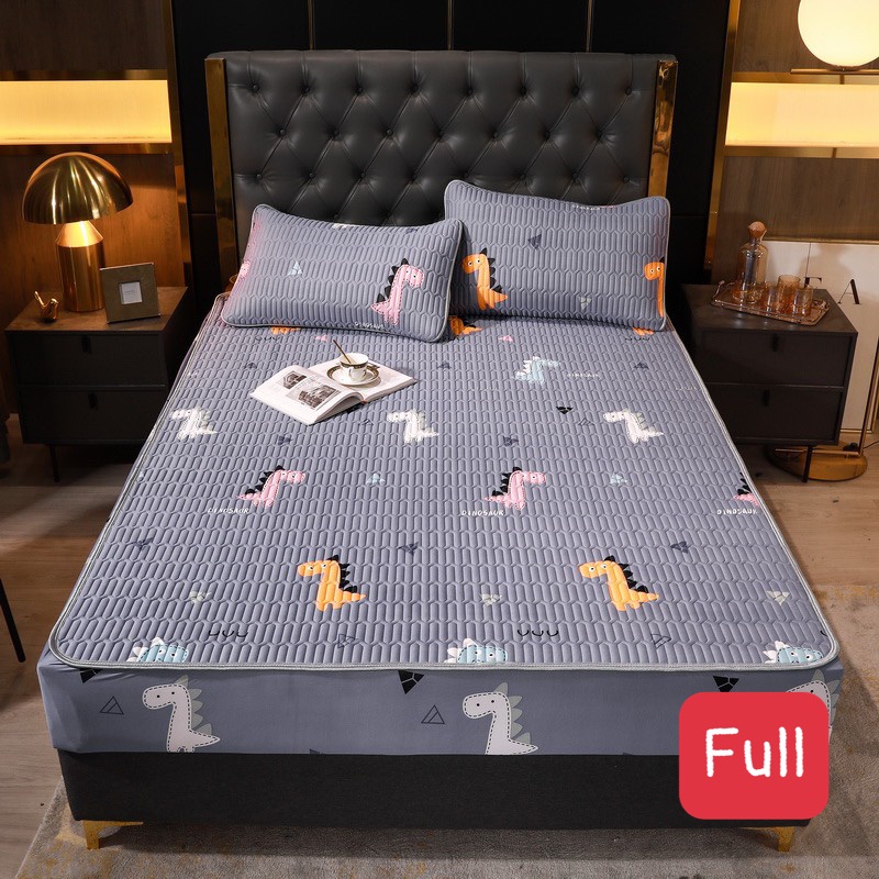 Chiếu Điều Hoà bo chun Mủ Cao Su Non 5D Tencel Mát Mềm Mịn Nhập Khẩu