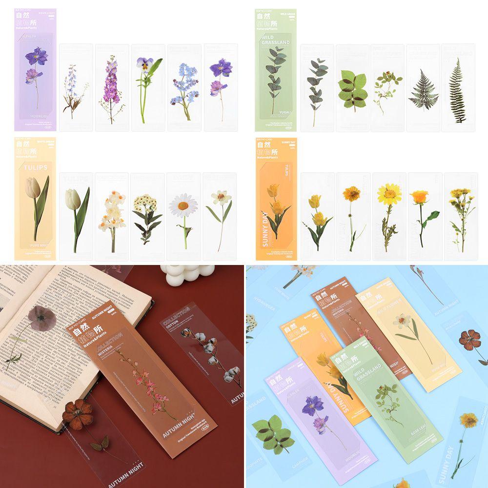DORAW Set 5 Thẻ Đánh Dấu Sách Hình Cây Tự Nhiên