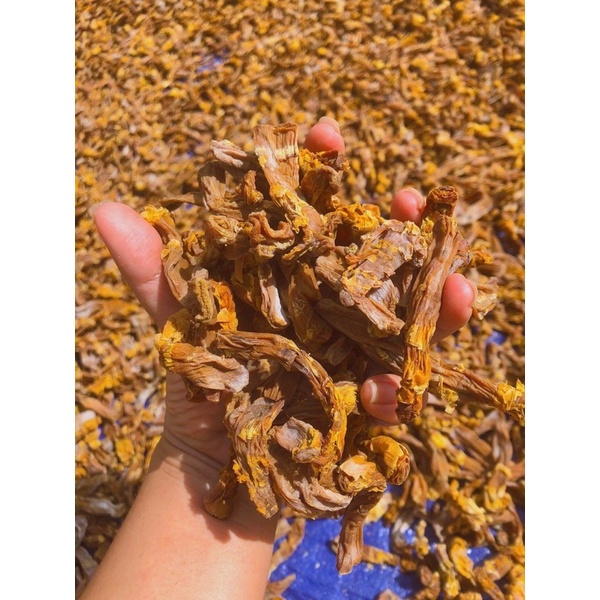 Măng khô Gia Lai, măng rừng khô hàng ngon, chuẩn