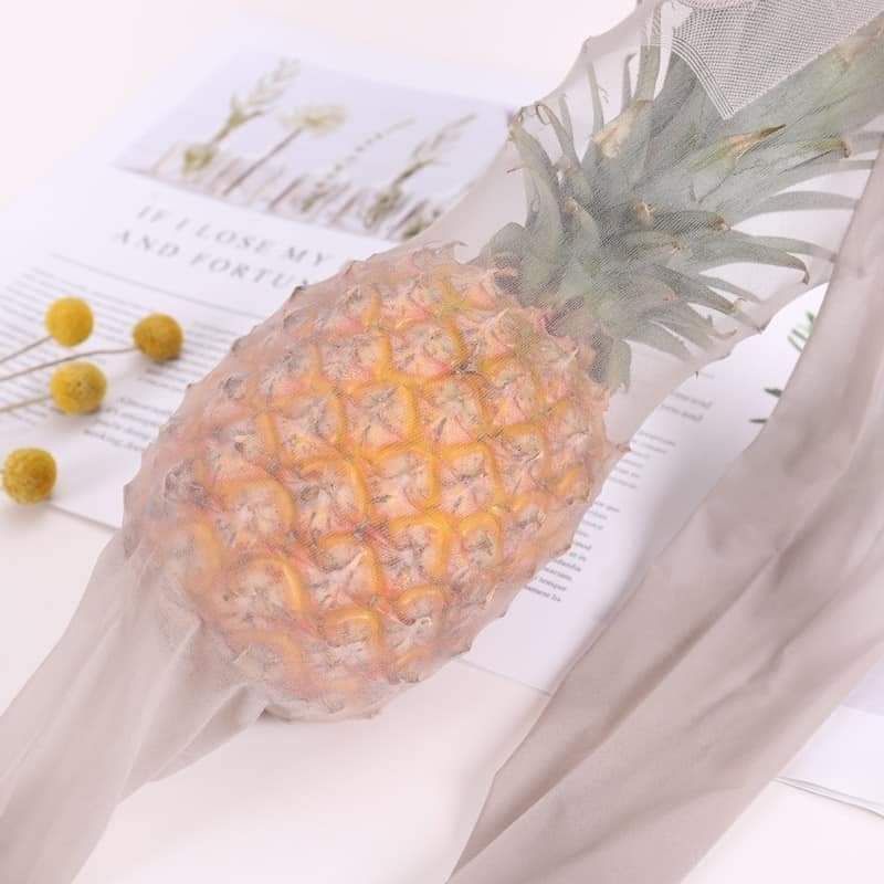 Quần tất tàng hình qủa dứa